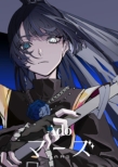}[Y (DVD)