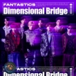Dimensional Bridge (CD+DVD)